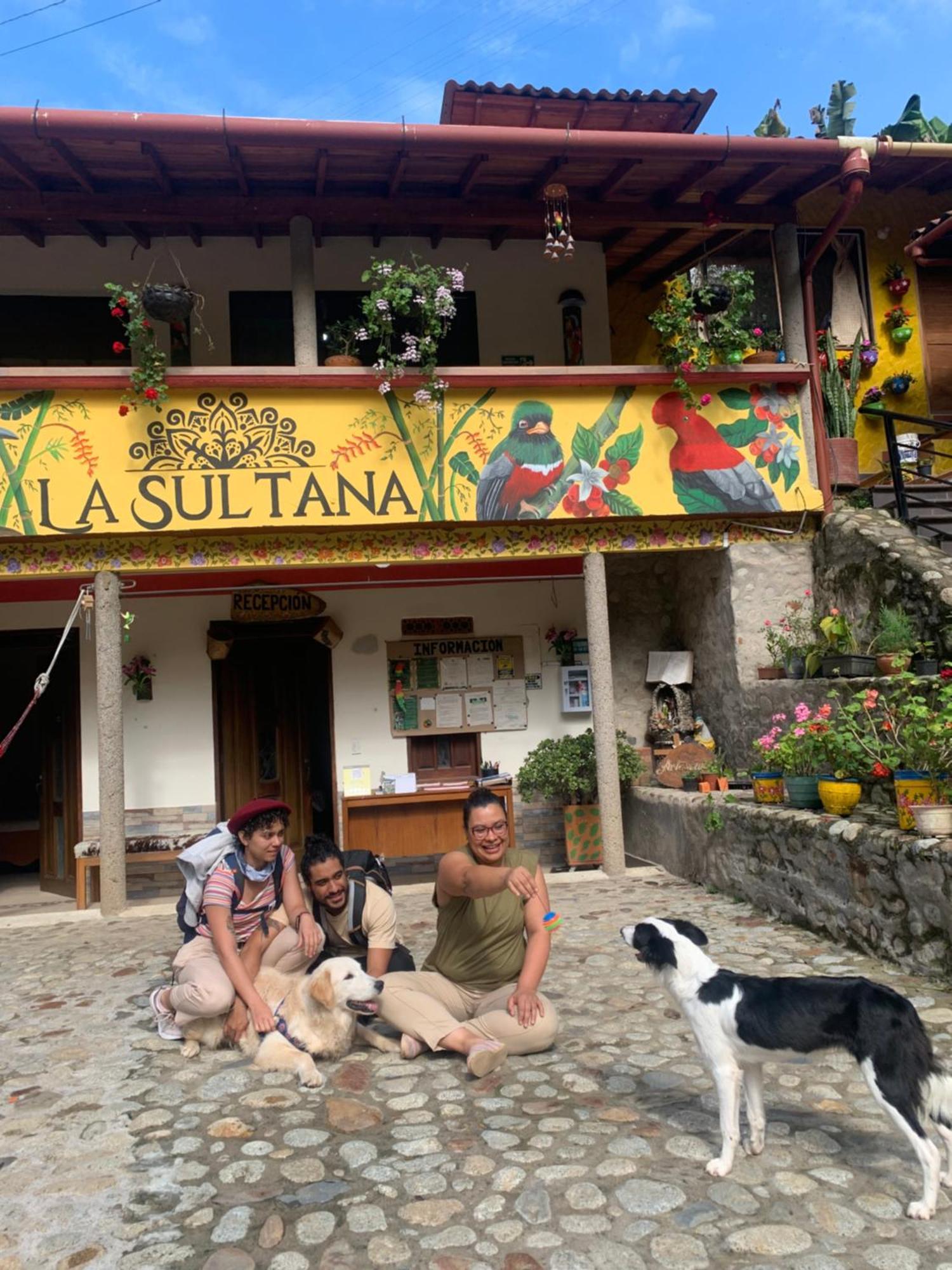 Hotel La Sultana Jardin Exterior photo