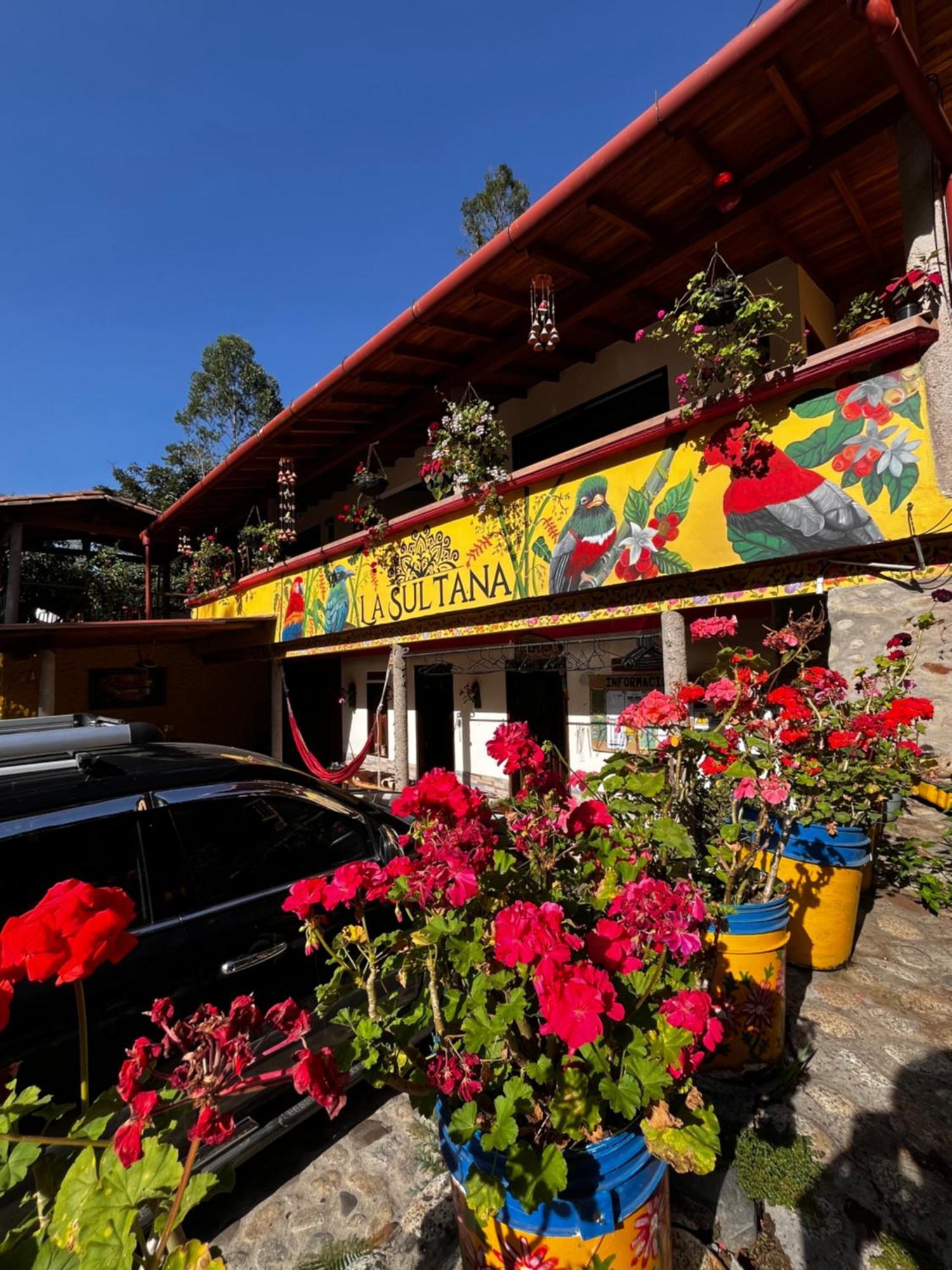 Hotel La Sultana Jardin Exterior photo