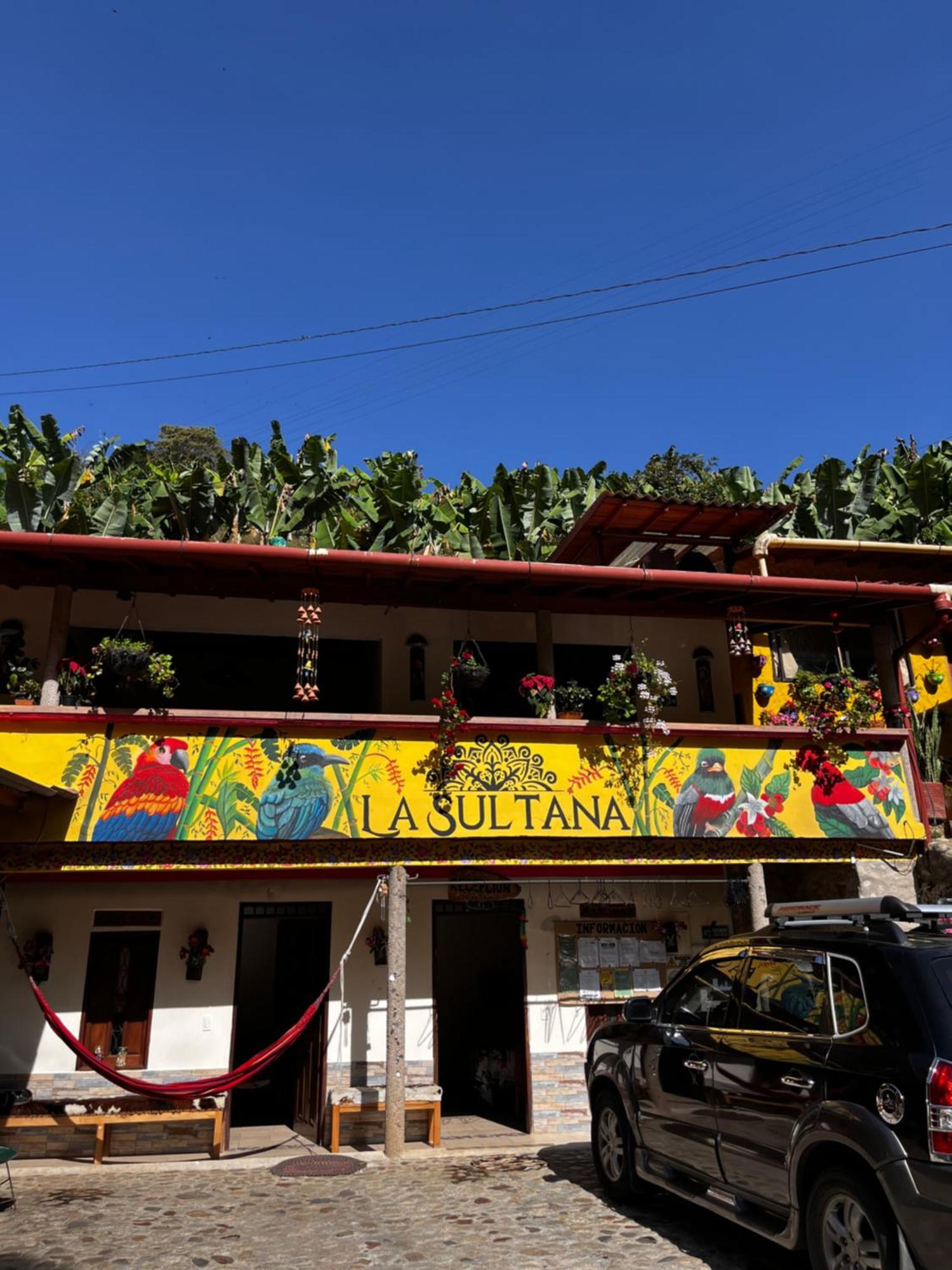 Hotel La Sultana Jardin Exterior photo
